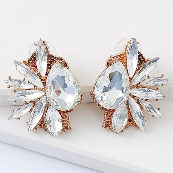 Luxury Look Rhinestone Stud Earrings - Picture 6 of 8